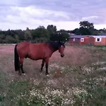 La Ferme Des Epis Hétvégi ház *