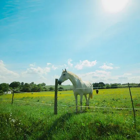 Летний дом La Ferme Des Epis