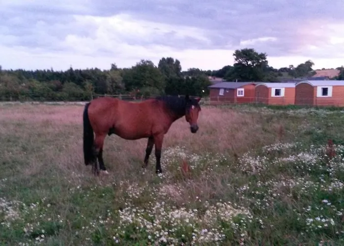 La Ferme Des Epis Εξοχικό σπίτι *