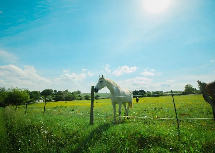 Εξοχικό σπίτι La Ferme Des Epis